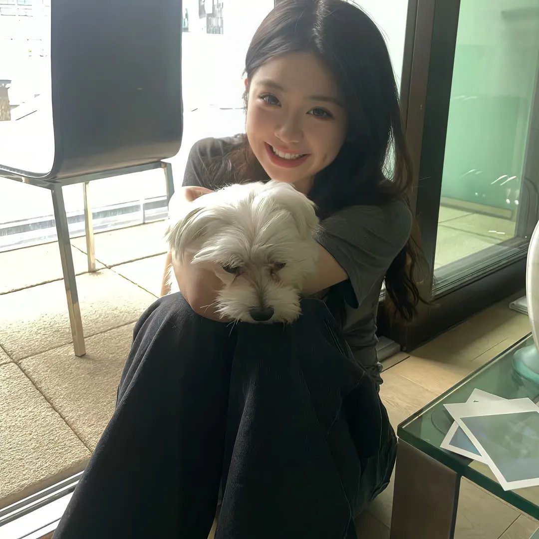 精灵宝可梦：结晶塔的帝王